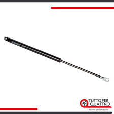 Molla A Gas POSTERIORE per