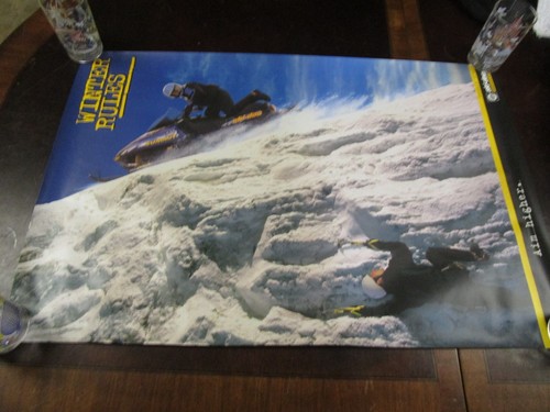 Ski doo summit 670 poster - ski-doo,
