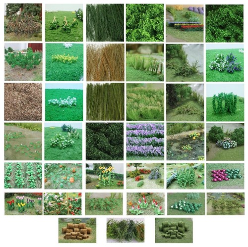 Tasma products fiori - e, piante