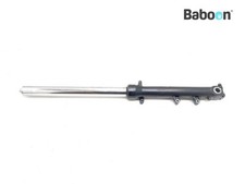 Gamba forcella anteriore