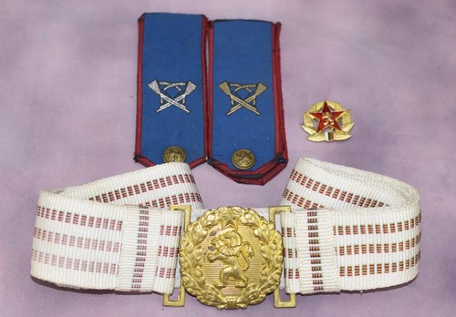 Set cintura fibbia - , ottone