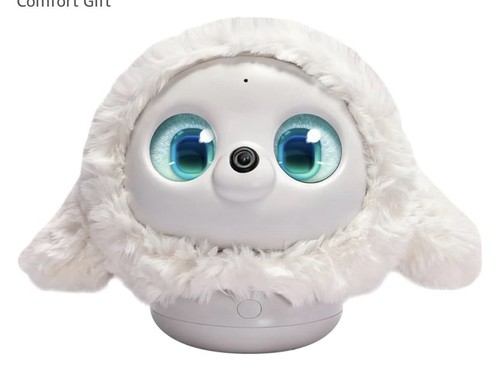 Kamomo companion robot - companion,
