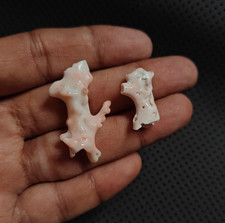 Bianco Corallo Grezzo Lucidato