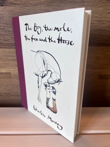 Waterstones the boy - waterstones, boy,the