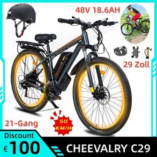 Bicicletta Elettrica 29