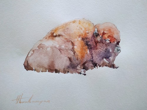 Bisonte animale opera d - opera, d'arte