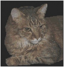 Punto Croce Motivo Da