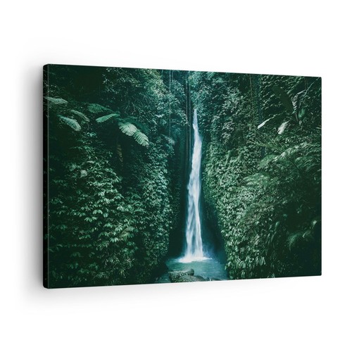 Quadro tela 70x50cm tropici - quadro,