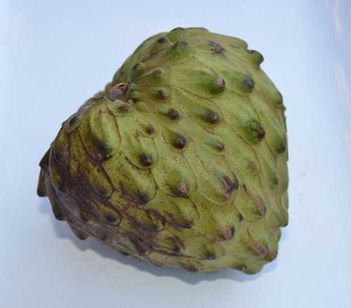 Cherimoya mela crema - cherimoya,