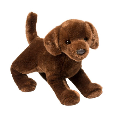 Douglas dog cocoa - douglas, chocolate