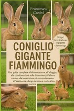 Coniglio gigante fiammingo - coniglio,