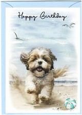 Biglietto Compleanno Cane Lhasa Apso (4"x 6") - vuoto all'interno - di Starprint