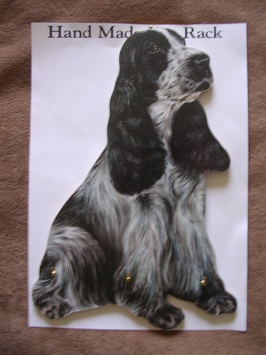 Blue roan cocker spaniel - cocker, dog