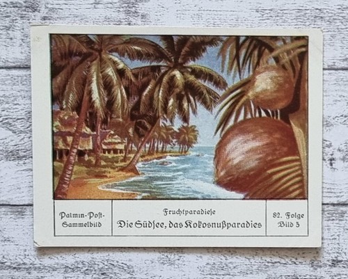 Paradiso cocco mari - , del
