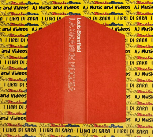 Book libro grande pioggia - libro,