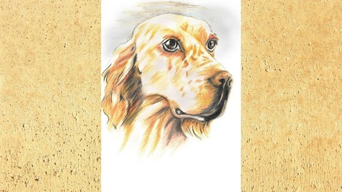 Stampa artistica cane - -,
