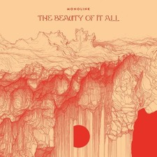 Vinile Monolink - The Beauty