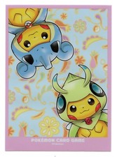 Poncho Pikachu Lapras & Celebi
