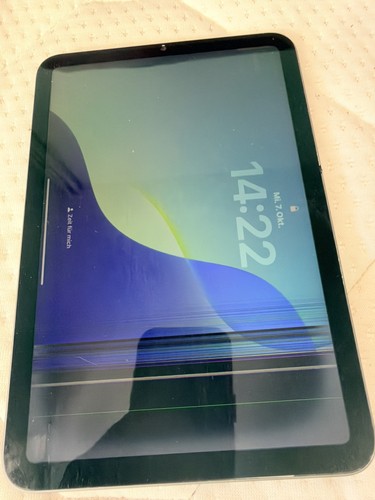 Apple ipad mini - ipad,