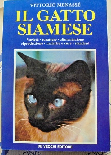Gatto siamese vittorio - siamese,