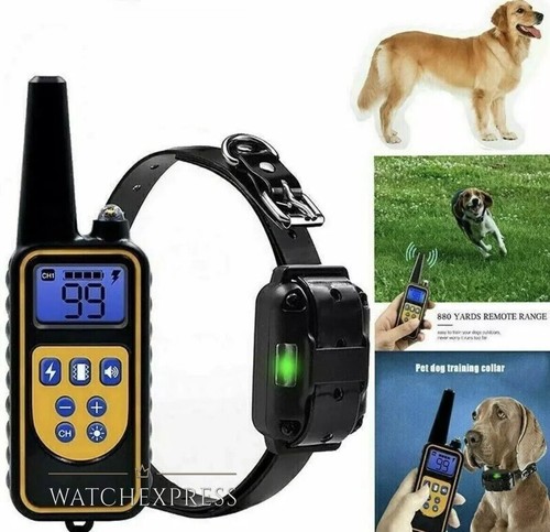 Collare elettronico per cani - collare,