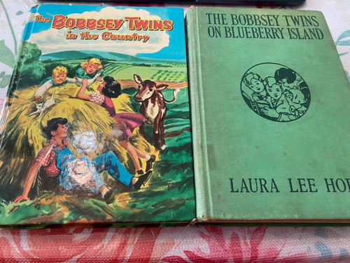 The bobbsey twins lot - lot:, in