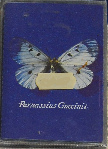 Francesco guccini - guccini, –