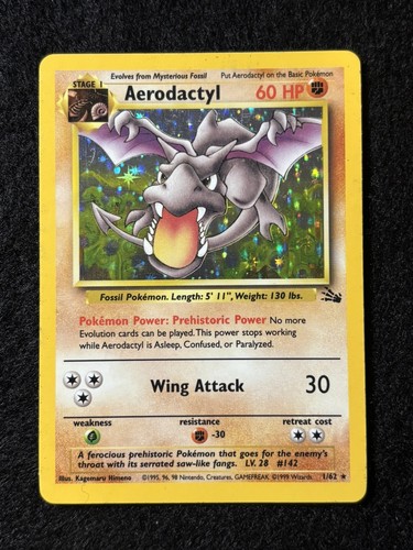 Fossil set aerodattilo - fossil, 1/62