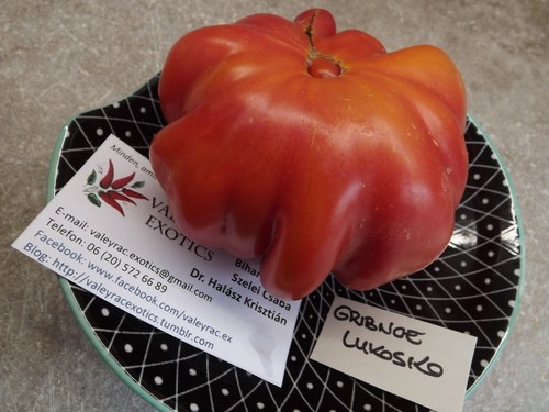 Cesto funghi pomodoro - di,