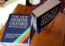 libri  Dizionario Inglese THE