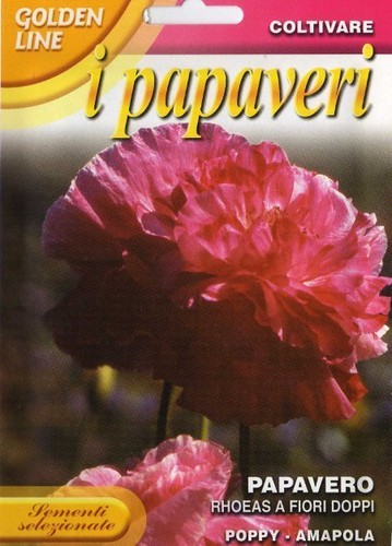 300 semi seeds papavero rhoeas - semi/seeds,