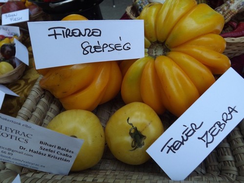 Pomodoro florentine beauty - florentine,