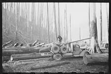 Gyppo operazioni di registrazione, Tillamook County, Oregon, OR, Farm Security Admin, FSA, 7