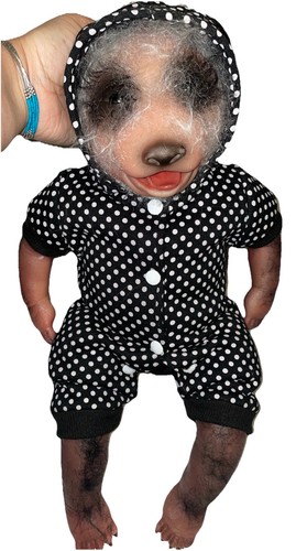 Adoll reborn baby panda - adoll,