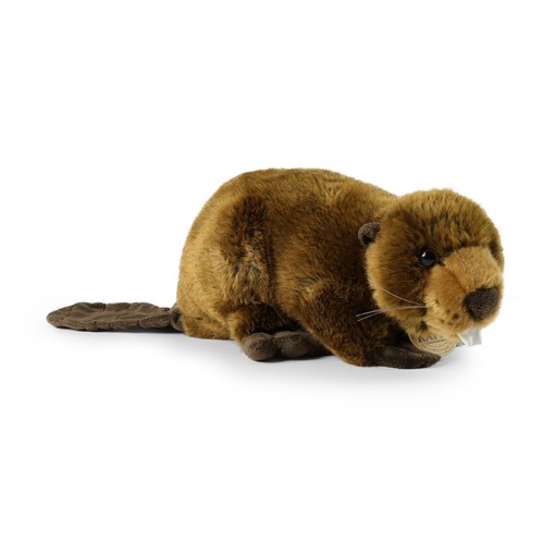 Peluche castoro cm - peluche, 28
