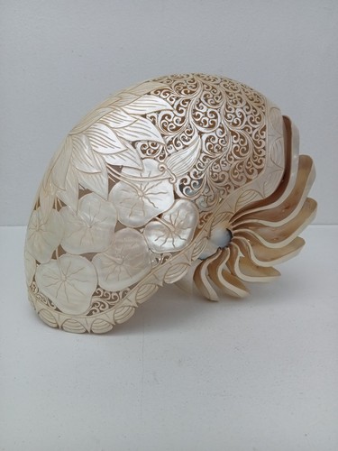 Conchiglia nautilus intagliata - conchiglia,