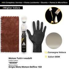 Vernice di ritocco per Motom