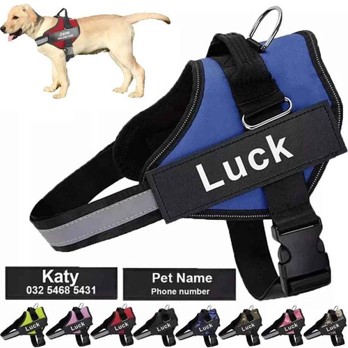 Pettorina per cani varie