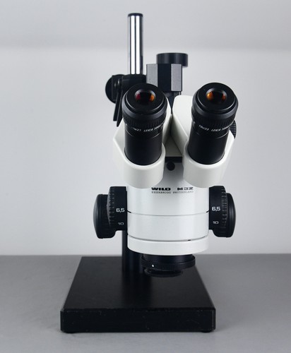 Microscopio leica wild m3z - leica,