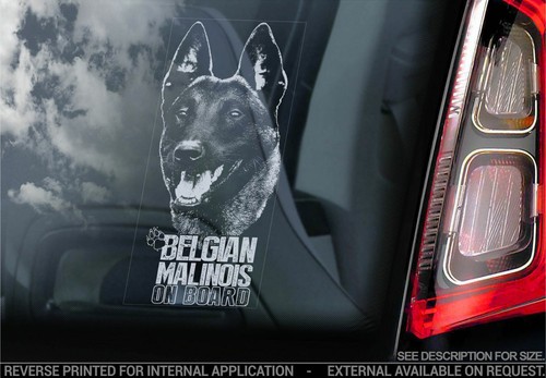 Adesivo auto belga - , malinois