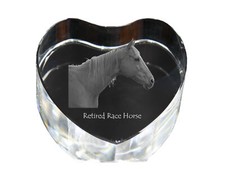 Cavallo da corsa in pensione