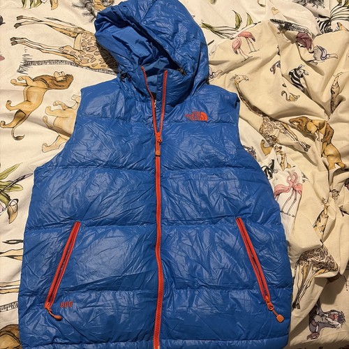 The north face - face, blu