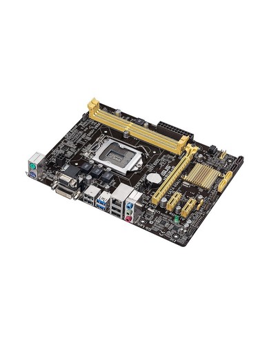 Scheda madre asus - scheda, h81m-e