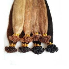 50 100 150 EXTENSIONS