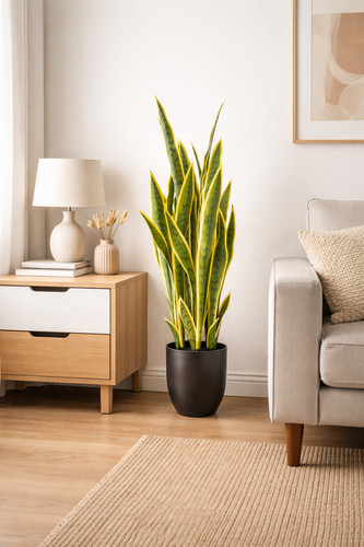 Sansevieria artificiale pianta - sansevieria,