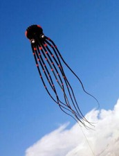 26 piedi 8 m 3D enorme polpo