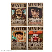 Set di Magneti One Piece