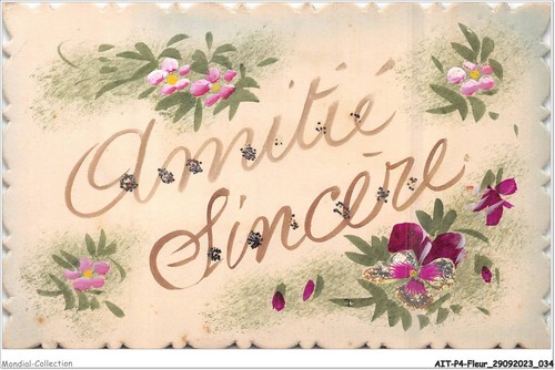 Aitp4 fleur 0328 - aitp4-fleur-0328, amicizia