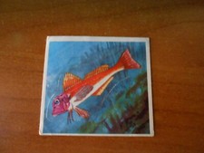 FIGURINA ANIMALI - N. 204 -