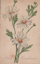 CARTOLINA  AUGURALE BUON